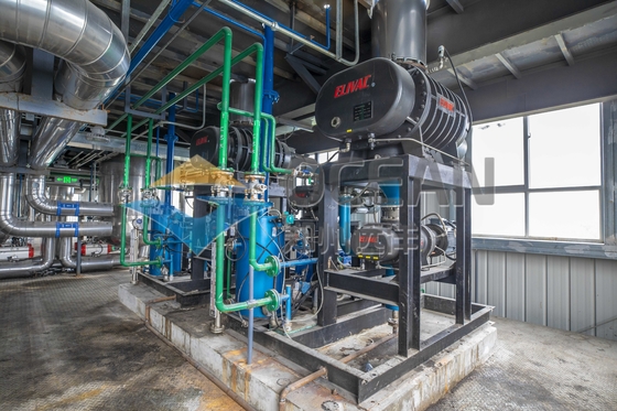 Attrezzatura d'officina commestibile inossidabile da estrazione dell'olio della soia con il sistema di controllo dello SpA