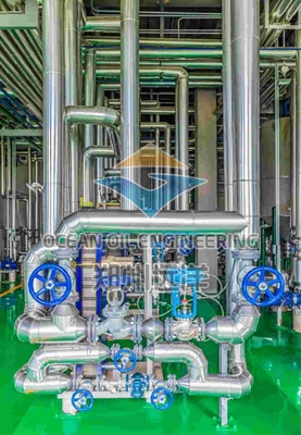 Pretrattamento dell'olio di palma efficiente e affidabile secondo lo standard ISO9001