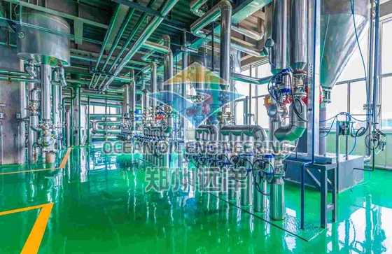 Operatore automatico macchine di fresatura dell'olio di oliva con ambiente amichevole