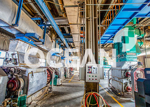 di progettazione 3D seme la macchina 10-1500TPD di pretrattamento ha brevettato la tecnologia