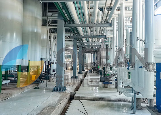 Semi oleaginosi di mescolamento brevettati della pianta di raffineria dell'olio da tavola di tecnologia