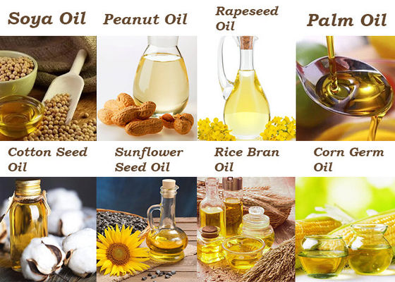 Attrezzatura di produzione dell'olio da tavola della pianta della stampa del seme oleifero della soia dell'OEM