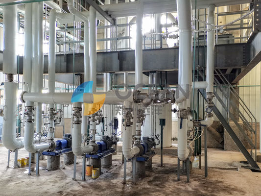 I semi di ravizzone olio i semi dell'olio vegetale di pretrattamento che elaborano 30-1500TPD