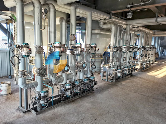 Raffinazione fisica continua della pianta della raffineria di petrolio della crusca di riso 20-500TPD