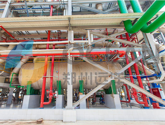 OEM di estrazione dell'olio della crusca di riso della pianta della stampa del seme oleifero di acciaio inossidabile