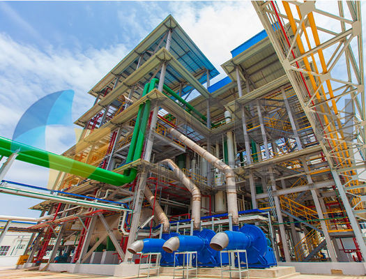 Estrazione con solvente automatica della pianta commestibile di estrazione dell'olio 100TPD