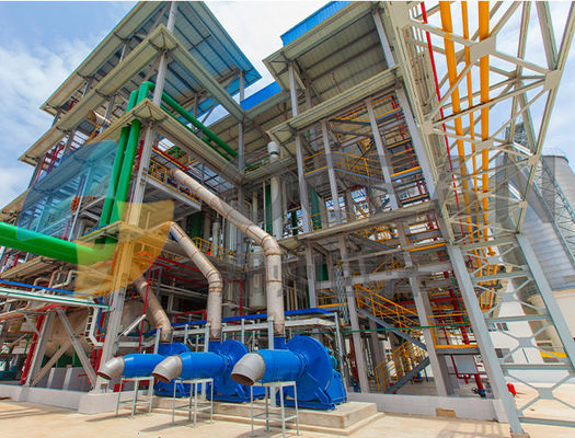 10-200 cottura a vapore di estrazione dell'olio di Ton Edible Oil Extraction Equipment