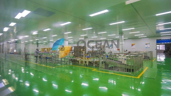 Olio da tavola della piccola scala ZX130 che fa la linea di produzione dell'estrazione uso della fabbrica