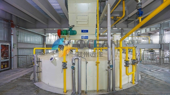La linea di piegamento commestibile di produzione vegetale della raffineria di petrolio della palma ha brevettato la tecnologia
